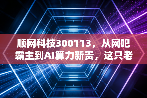 顺网科技300113,从网吧霸主到AI算力新贵,这只老牌互联网股还能打吗?
