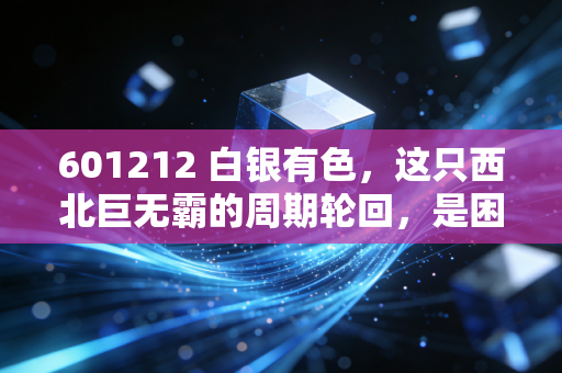 601212 白银有色,这只西北巨无霸的周期轮回,是困境反转还是昙花一现?