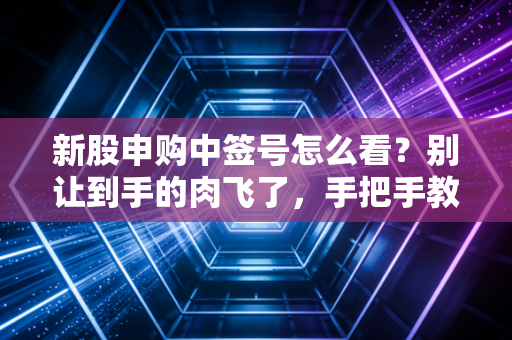 新股申购中签号怎么看？别让到手的肉飞了，手把手教你查号与缴款全攻略