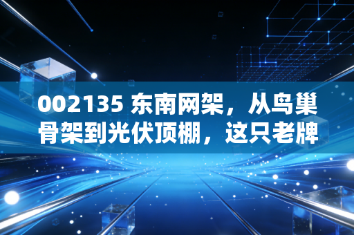 002135 东南网架，从鸟巢骨架到光伏顶棚，这只老牌钢企的二次春天还能持续多久？