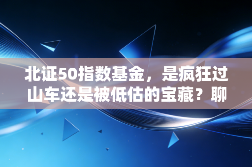 北证50指数基金，是疯狂过山车还是被低估的宝藏？聊聊我的真实看法