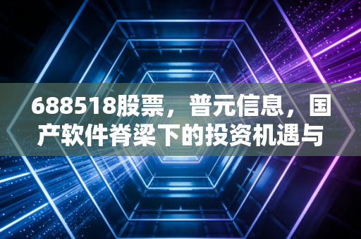 688518股票,普元信息,国产软件脊梁下的投资机遇与隐忧