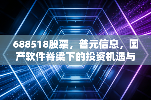 688518股票，普元信息，国产软件脊梁下的投资机遇与隐忧