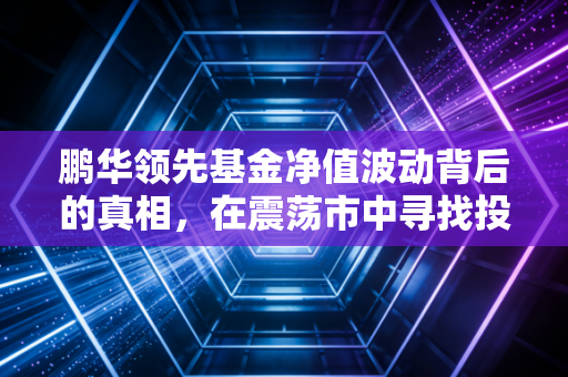 鹏华领先基金净值波动背后的真相,在震荡市中寻找投资的定力