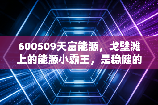 600509天富能源，戈壁滩上的能源小霸王，是稳健的压舱石还是被低估的潜力股？