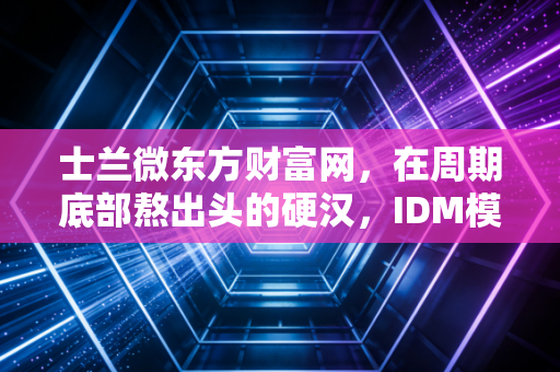士兰微东方财富网，在周期底部熬出头的硬汉，IDM模式究竟是护城河还是累赘？