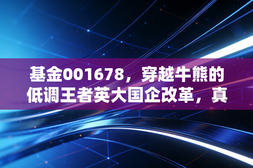 基金001678，穿越牛熊的低调王者英大国企改革，真的值得你托付吗？