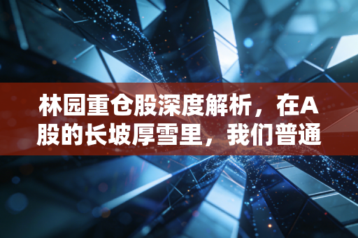 林园重仓股深度解析,在A股的长坡厚雪里,我们普通人能学到什么?
