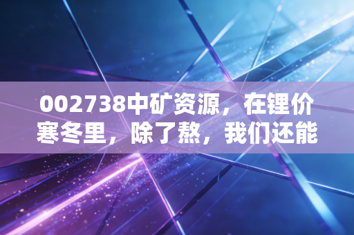 002738中矿资源,在锂价寒冬里,除了熬,我们还能期待什么?