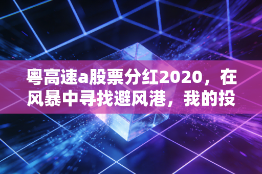 粤高速a股票分红2020，在风暴中寻找避风港，我的投资复盘与思考