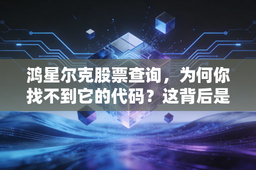 鸿星尔克股票查询,为何你找不到它的代码?这背后是一场关于长期主义的资本博弈