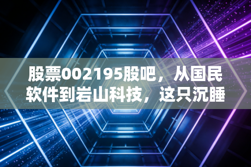 股票002195股吧，从国民软件到岩山科技，这只沉睡的老虎还能醒来吗？