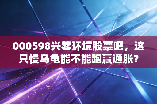000598兴蓉环境股票吧,这只慢乌龟能不能跑赢通胀?聊聊被低估的成都公用事业之王