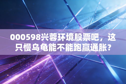 000598兴蓉环境股票吧,这只慢乌龟能不能跑赢通胀?聊聊被低估的成都公用事业之王