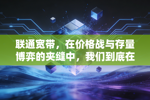 联通宽带,在价格战与存量博弈的夹缝中,我们到底在为谁买单?