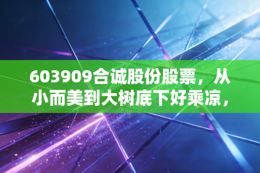 603909合诚股份股票，从小而美到大树底下好乘凉，这只基建股的蜕变之路值得期待吗？