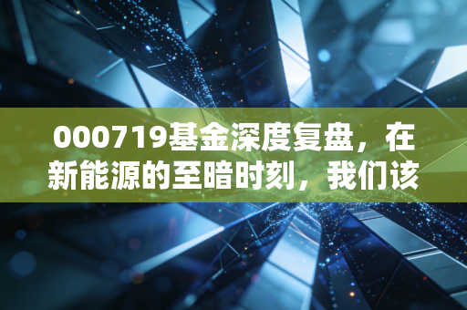 000719基金深度复盘，在新能源的至暗时刻，我们该如何守护手中的筹码？
