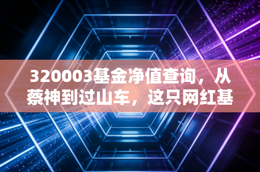 320003基金净值查询,从蔡神到过山车,这只网红基金现在还值得守候吗?