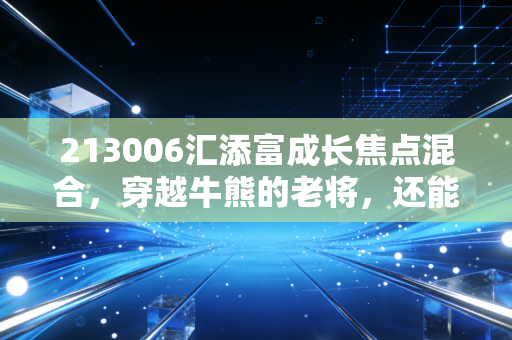 213006汇添富成长焦点混合，穿越牛熊的老将，还能否承载我们的财富梦想？
