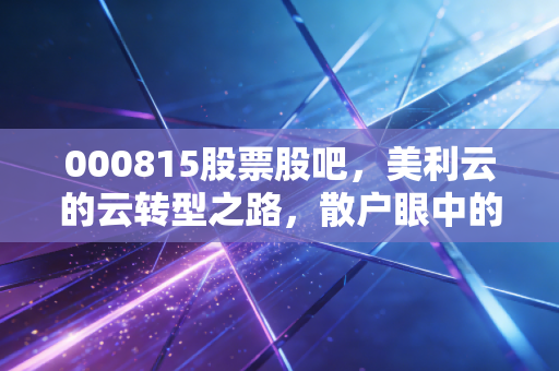 000815股票股吧，美利云的云转型之路，散户眼中的香饽饽还是大坑？