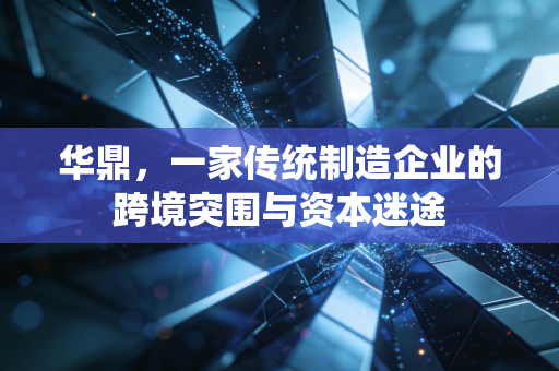 华鼎,一家传统制造企业的跨境突围与资本迷途