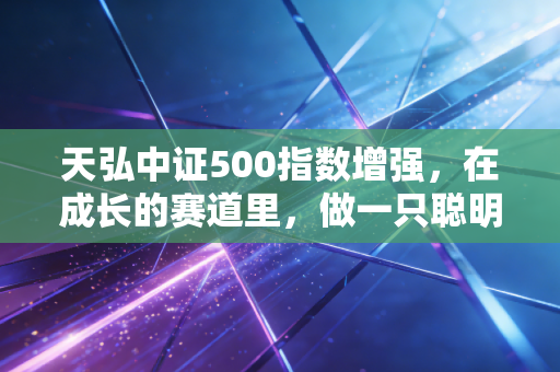 天弘中证500指数增强，在成长的赛道里，做一只聪明的懒人