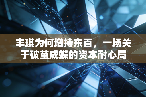 丰琪为何增持东百,一场关于破茧成蝶的资本耐心局