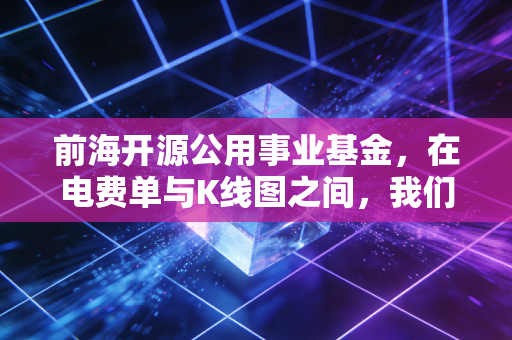 前海开源公用事业基金,在电费单与K线图之间,我们该如何寻找投资的确定性?
