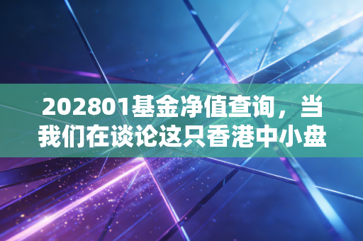 202801基金净值查询，当我们在谈论这只香港中小盘时，我们在谈论什么？