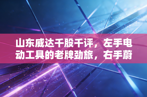 山东威达千股千评，左手电动工具的老牌劲旅，右手蔚来换电的隐形赢家，这只股到底值不值得拿？
