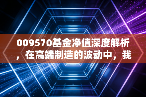 009570基金净值深度解析，在高端制造的波动中，我们该如何安放投资焦虑？