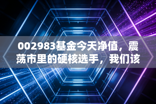 002983基金今天净值，震荡市里的硬核选手，我们该如何拿住？