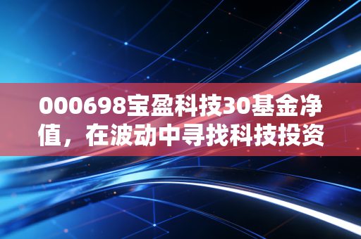 000698宝盈科技30基金净值,在波动中寻找科技投资的长坡厚雪