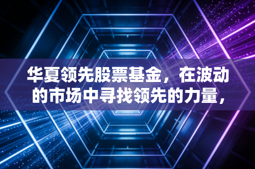 华夏领先股票基金,在波动的市场中寻找领先的力量,我们该如何与这只基金共处?