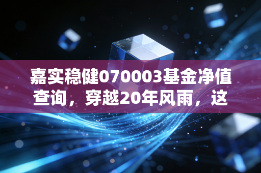 嘉实稳健070003基金净值查询，穿越20年风雨，这只老将还能稳住你的钱袋子吗？