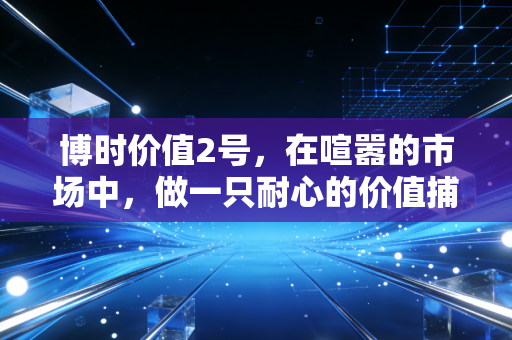博时价值2号，在喧嚣的市场中，做一只耐心的价值捕手