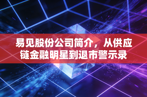 易见股份公司简介，从供应链金融明星到退市警示录