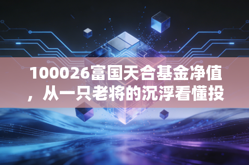100026富国天合基金净值，从一只老将的沉浮看懂投资的真谛