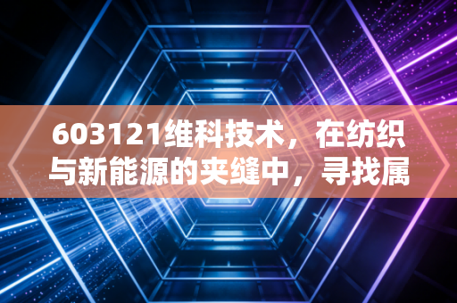 603121维科技术,在纺织与新能源的夹缝中,寻找属于它的那束光