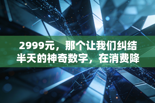 2999元，那个让我们纠结半天的神奇数字，在消费降级与伪精致之间反复横跳