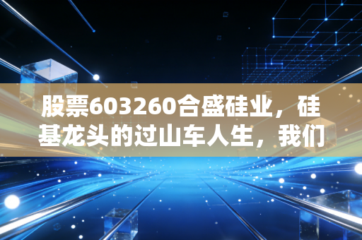 股票603260合盛硅业,硅基龙头的过山车人生,我们该如何下注?