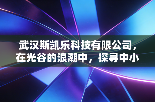 武汉斯凯乐科技有限公司,在光谷的浪潮中,探寻中小科技企业的造血与突围