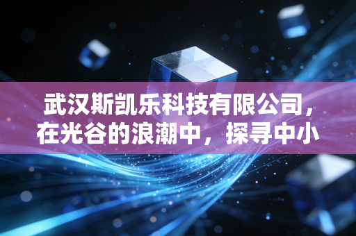 武汉斯凯乐科技有限公司,在光谷的浪潮中,探寻中小科技企业的造血与突围