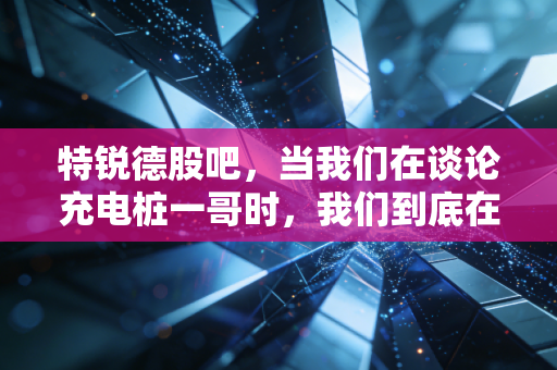特锐德股吧，当我们在谈论充电桩一哥时，我们到底在焦虑什么？