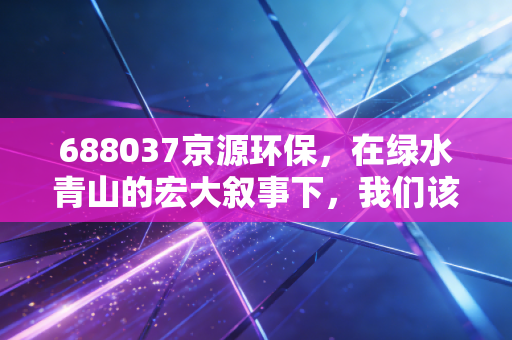 688037京源环保，在绿水青山的宏大叙事下，我们该如何审视这家工业治水老兵？