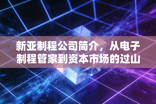 新亚制程公司简介，从电子制程管家到资本市场的过山车，一家值得深思的深圳老牌企业