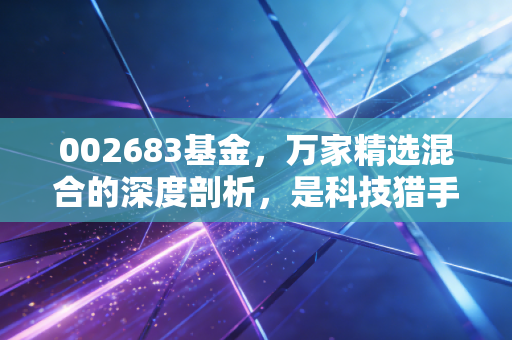 002683基金，万家精选混合的深度剖析，是科技猎手的锋利长矛还是普通投资者的烫手山芋？