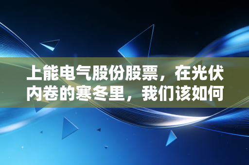 上能电气股份股票,在光伏内卷的寒冬里,我们该如何审视这艘储能巨轮的未来?