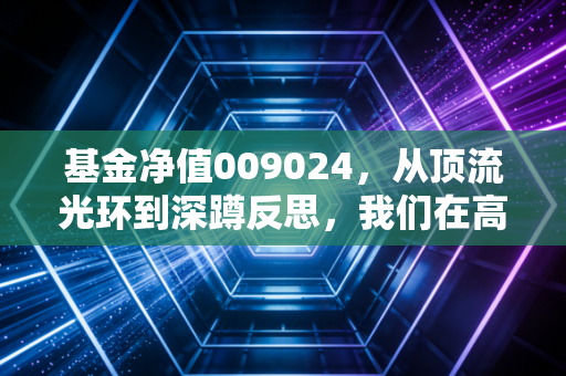 基金净值009024，从顶流光环到深蹲反思，我们在高端制造的浪潮中究竟赌对了什么？