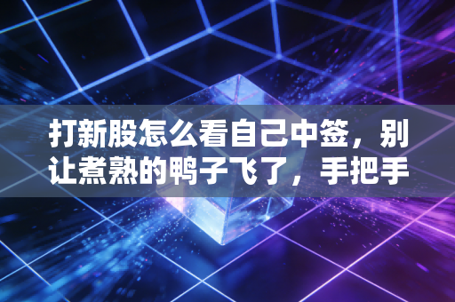 打新股怎么看自己中签，别让煮熟的鸭子飞了，手把手教你查中签